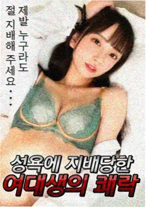 UP主专栏城南九号信箱书信结构研究封面